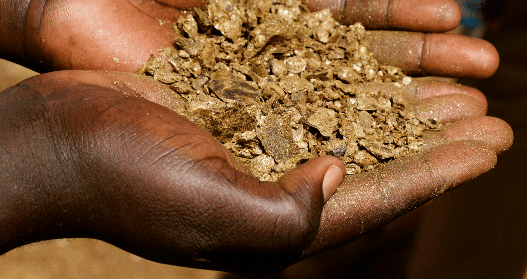 Hands holding gold-bearing material